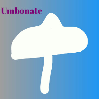 Pileus classification in hindi