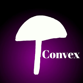 Pileus classification in hindi