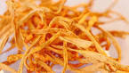cordyceps militaris