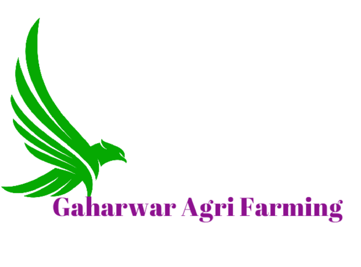 Gaharwar Agri Farming